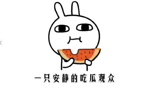 我在吃瓜,一场吃瓜盛宴背后的真相