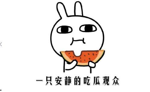 吃瓜事件,揭秘娱乐圈背后的真相与争议