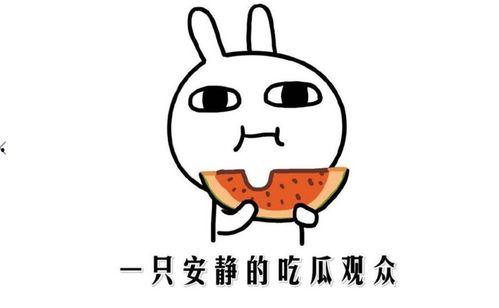 娱乐吃瓜酱如何赚钱的,揭秘网红如何通过吃瓜赚钱的秘密