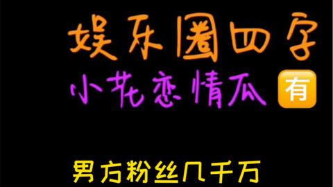 吃瓜影视娱乐有限公司,揭秘娱乐圈幕后故事