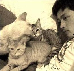 娱乐吃瓜君猫爷,揭秘娱乐圈那些不为人知的幕后故事